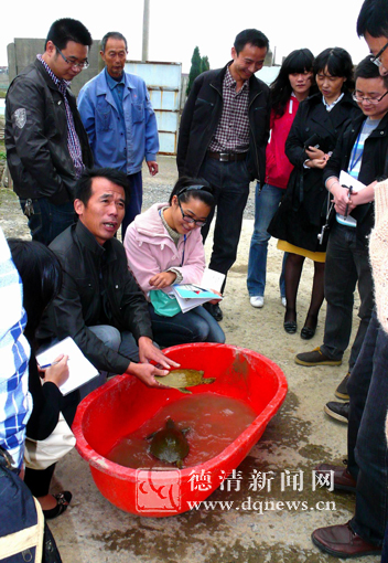 塘比村最新动态报道