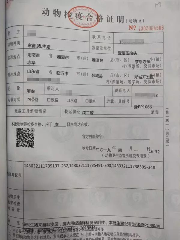 房县防疫检疫站人事任命重塑未来防疫新格局