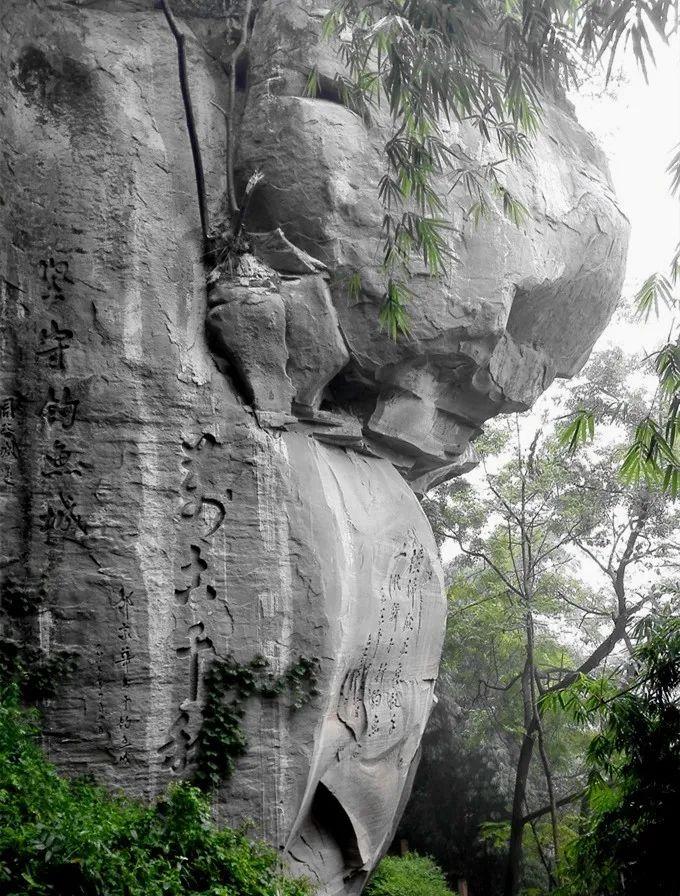 觉布如村重塑乡村，引领未来新篇章启动