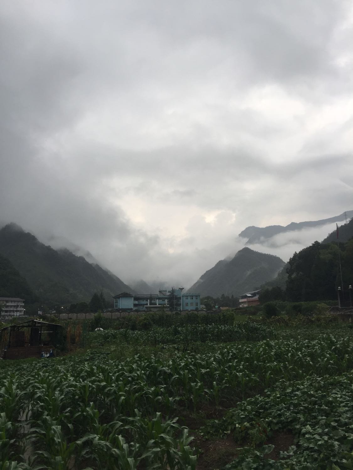 溪港乡天气预报更新通知